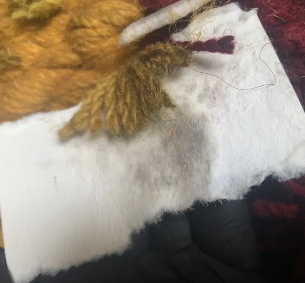 Restauración de textiles: mano con guante negro sostiene un soporte blanco con suciedad gris retirada de unas fibras de lana color ocre, sobre un tejido de lana granate.